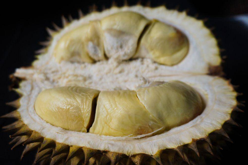 Ilustrasi kandungan durian (pixabay.com/najibzamri)