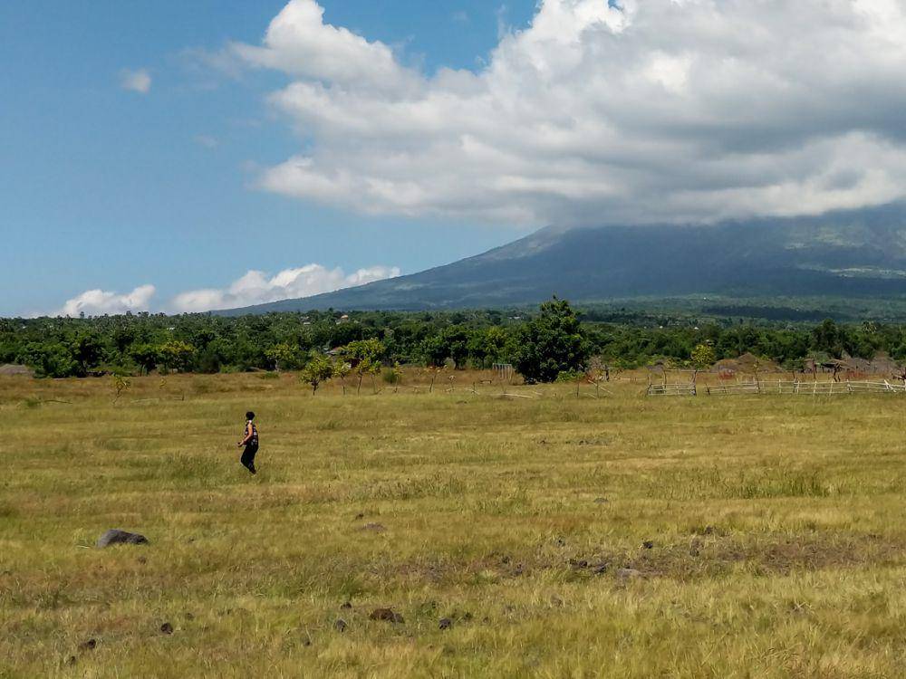 Hamparan rumput luas di Savana Tianyar (Dok.Pribadi/Natalia Indah)