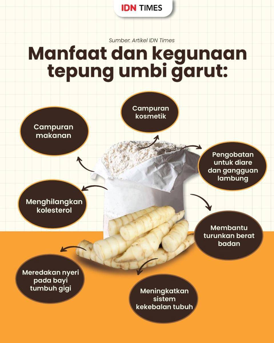 Infografis tepung umbi garut (IDN Times/Aditya Pratama)