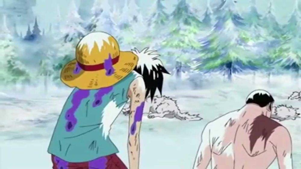 Toei Animation/One Piece