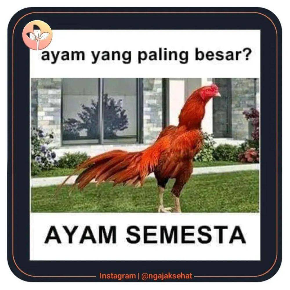 Meme tebak-tebakan (instagram.com/unikinfokesehatan)