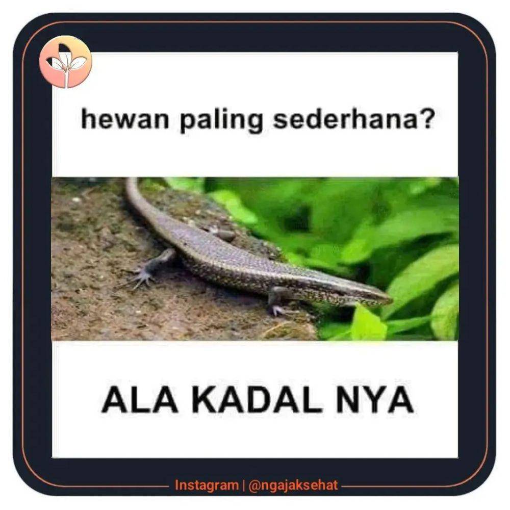 Meme tebak-tebakan (instagram.com/memecomic.id)