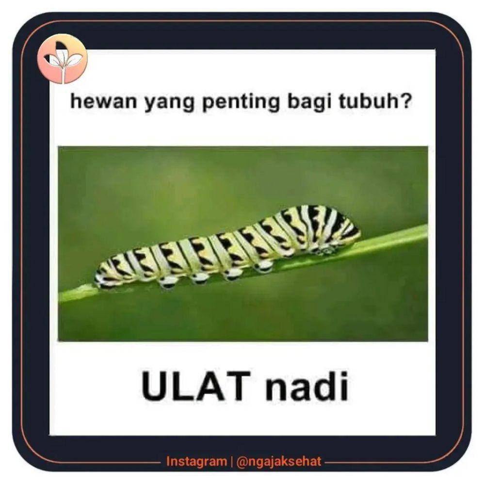 Meme tebak-tebakan (instagram.com/memecomic.id)