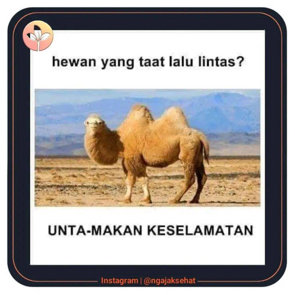 Meme tebak-tebakan (instagram.com/unikinfokesehatan)