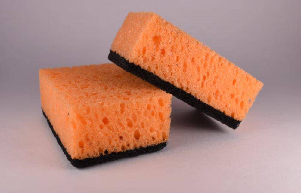 ilustrasi sponge yang lembut (unsplash.com/Artem Makarov)