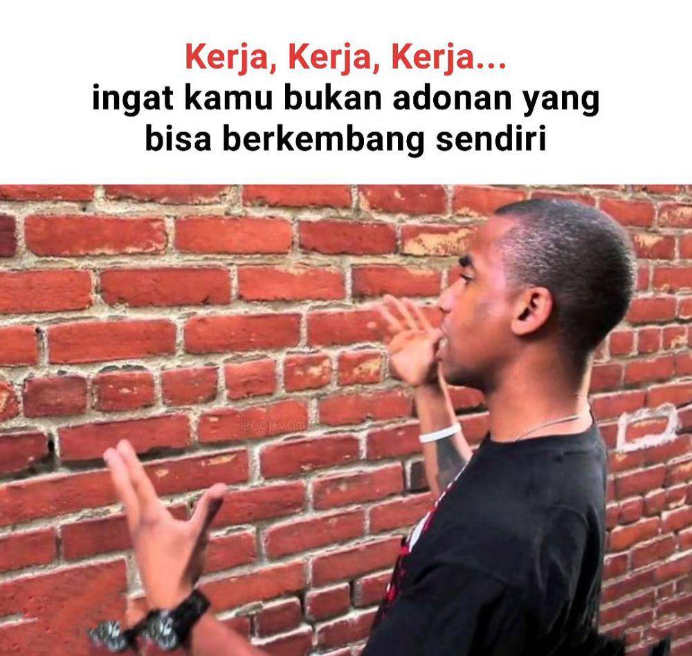 meme ngomong sama tembok (instagram.com/statuslucu_official)