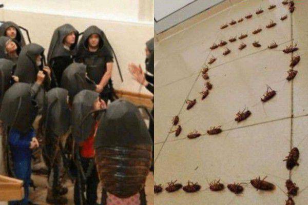 kolase potret kocak hal berbau kecoak (reddit.com/disturbingzone I reddit.com/axl_tha_fallen)