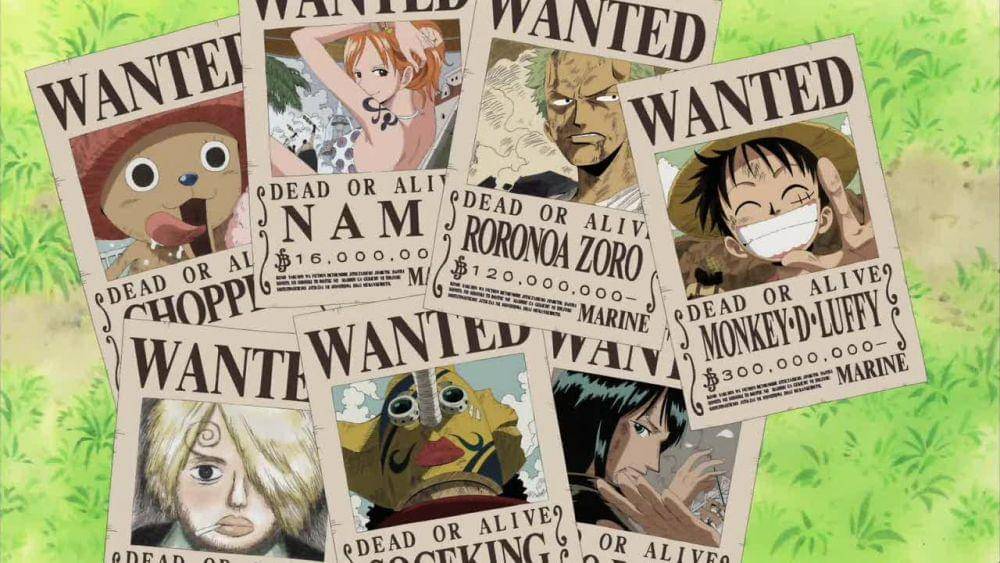 (Dok. Toei Animation/One Piece)