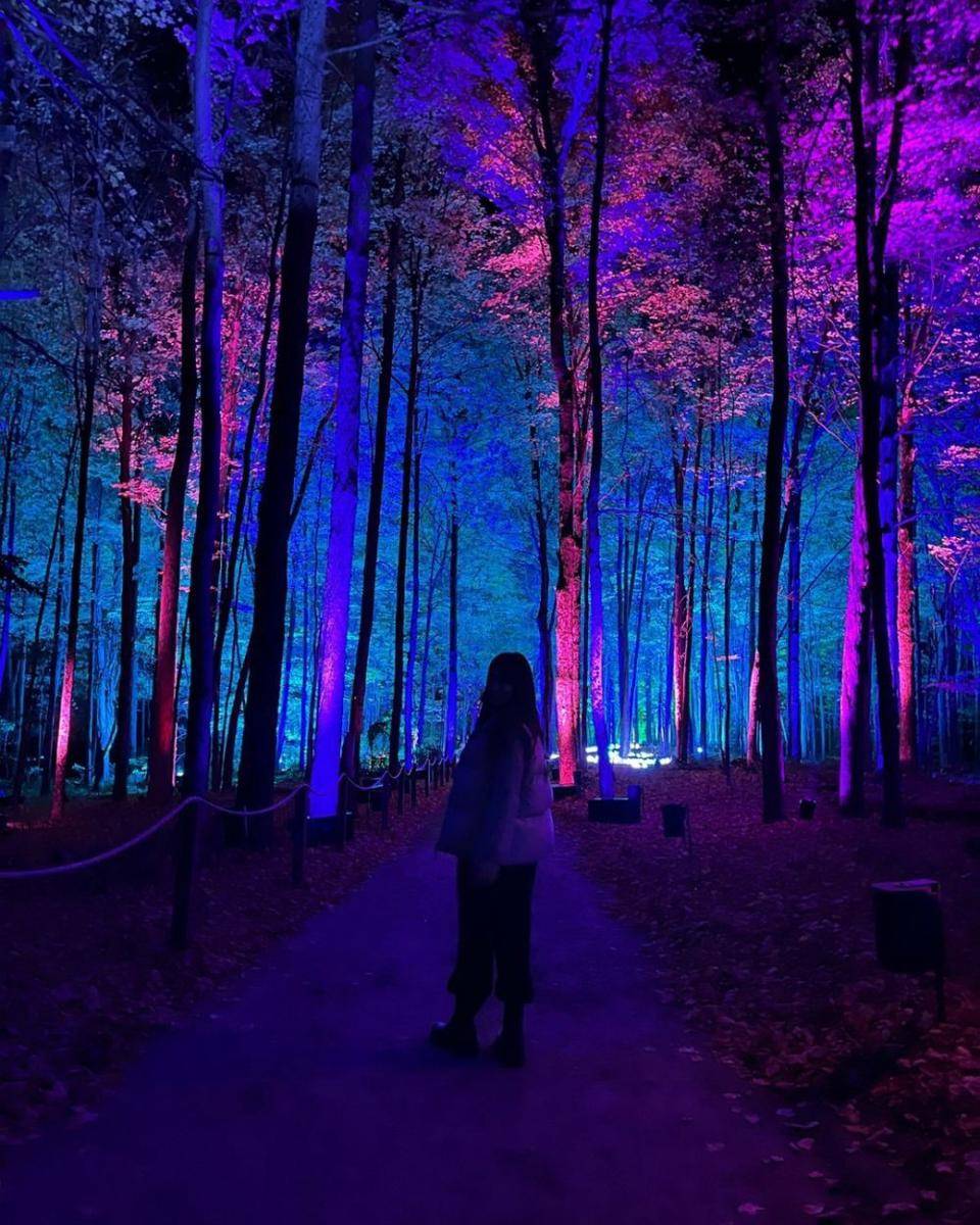 Harry Potter: A Forbidden Forest Experience (instagram.com/hpforbiddenforestexperience)
