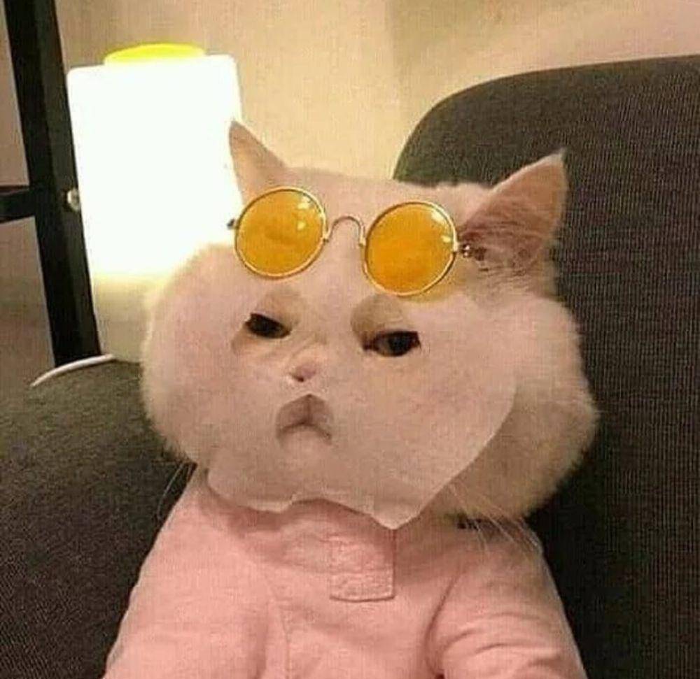 potret kucing lagi badmood (instagram.com/kucingseru)