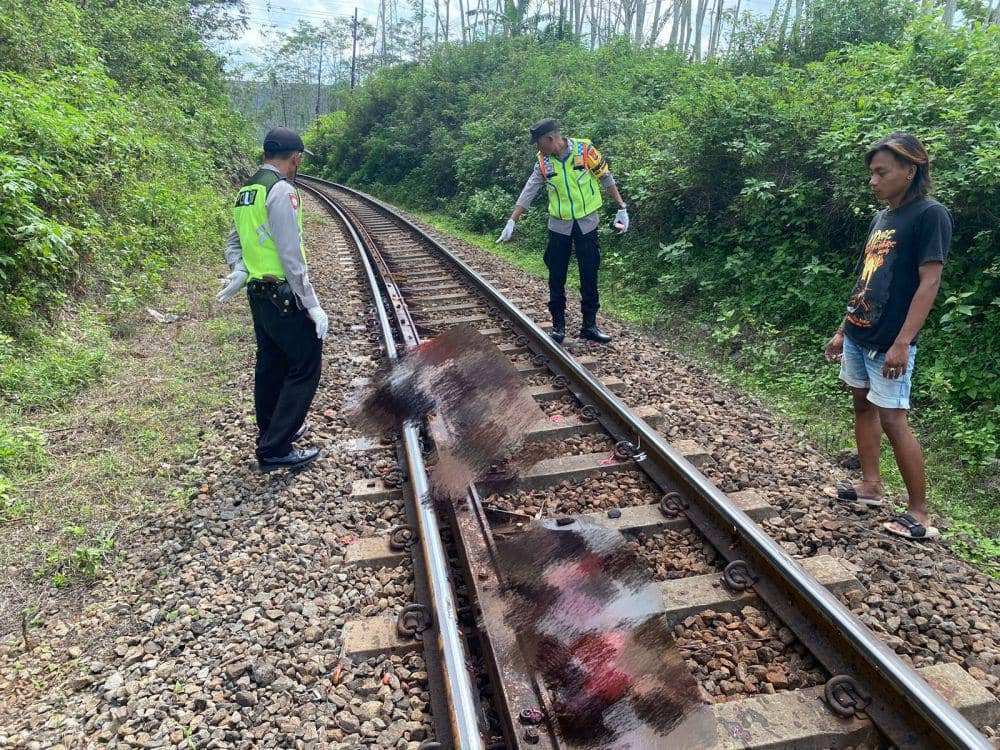 Evakuasi korban kecelakaan kereta api di Kabupaten Malang. (Dok. Polsek Sumberpucung)