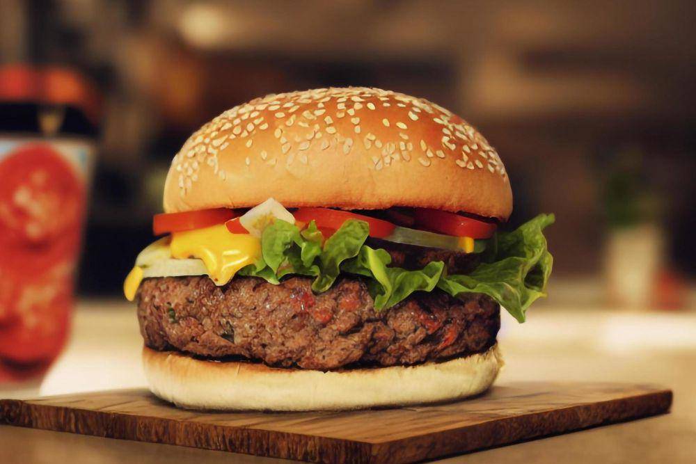 burger (vecteezy.com/Union project)