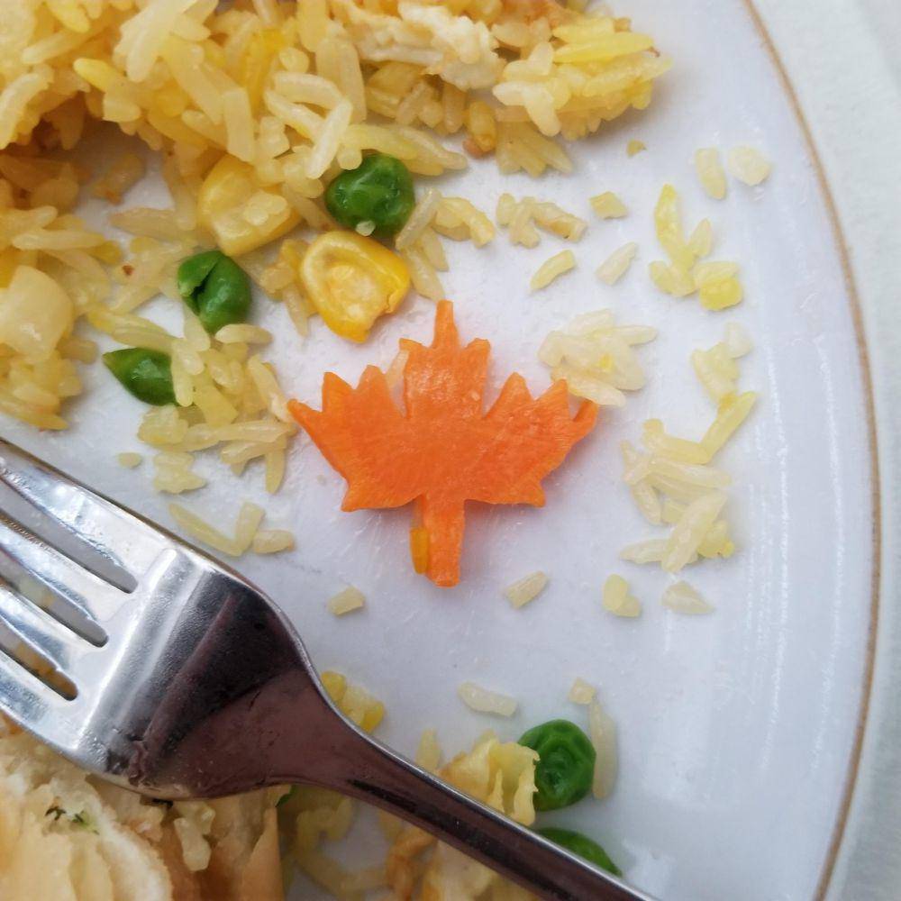 potret hal unik dan kocak tentang nasi goreng (reddit.com/user/TheeeWalrus)