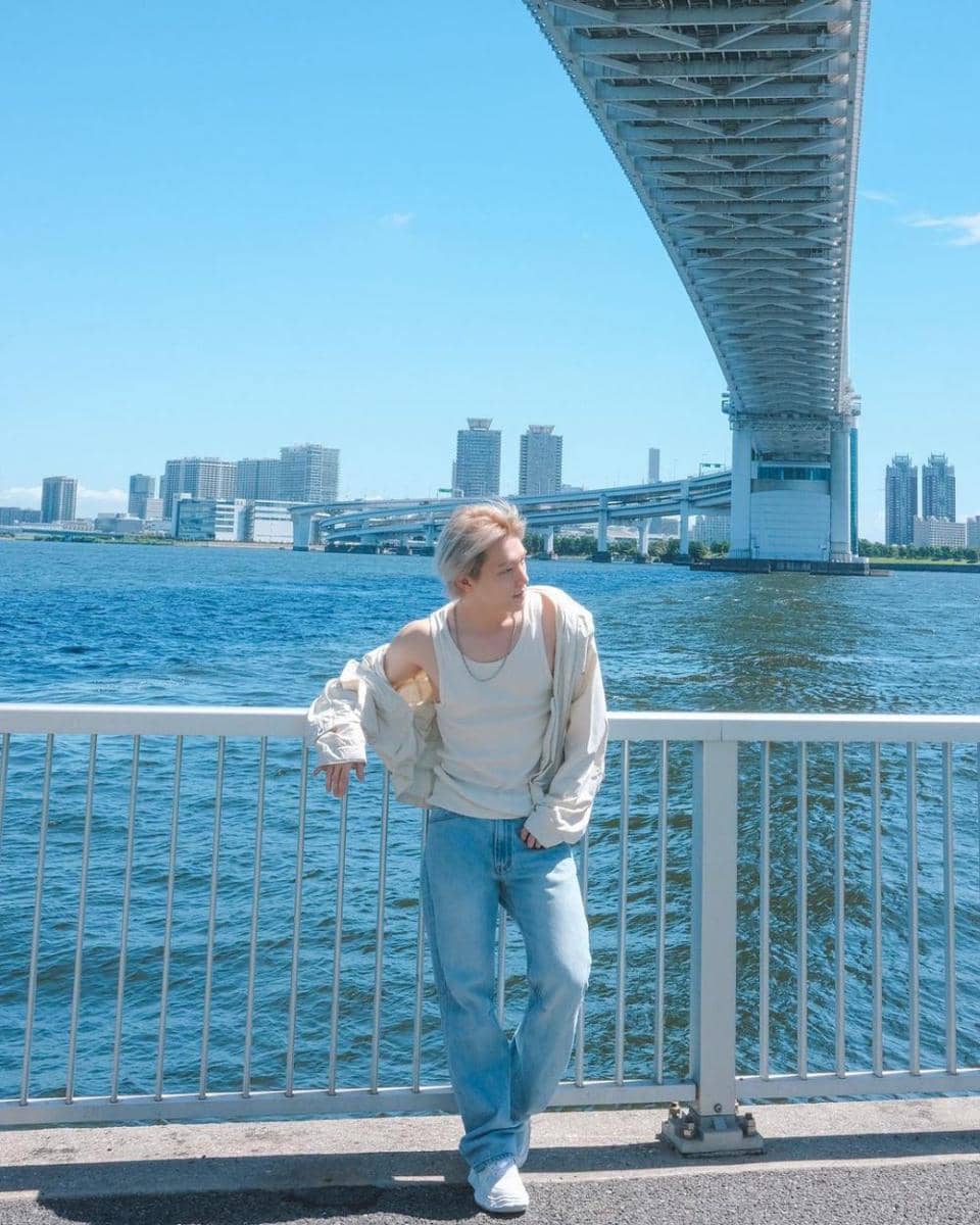 Dino Seventeen (instagram.com/feat.dino)