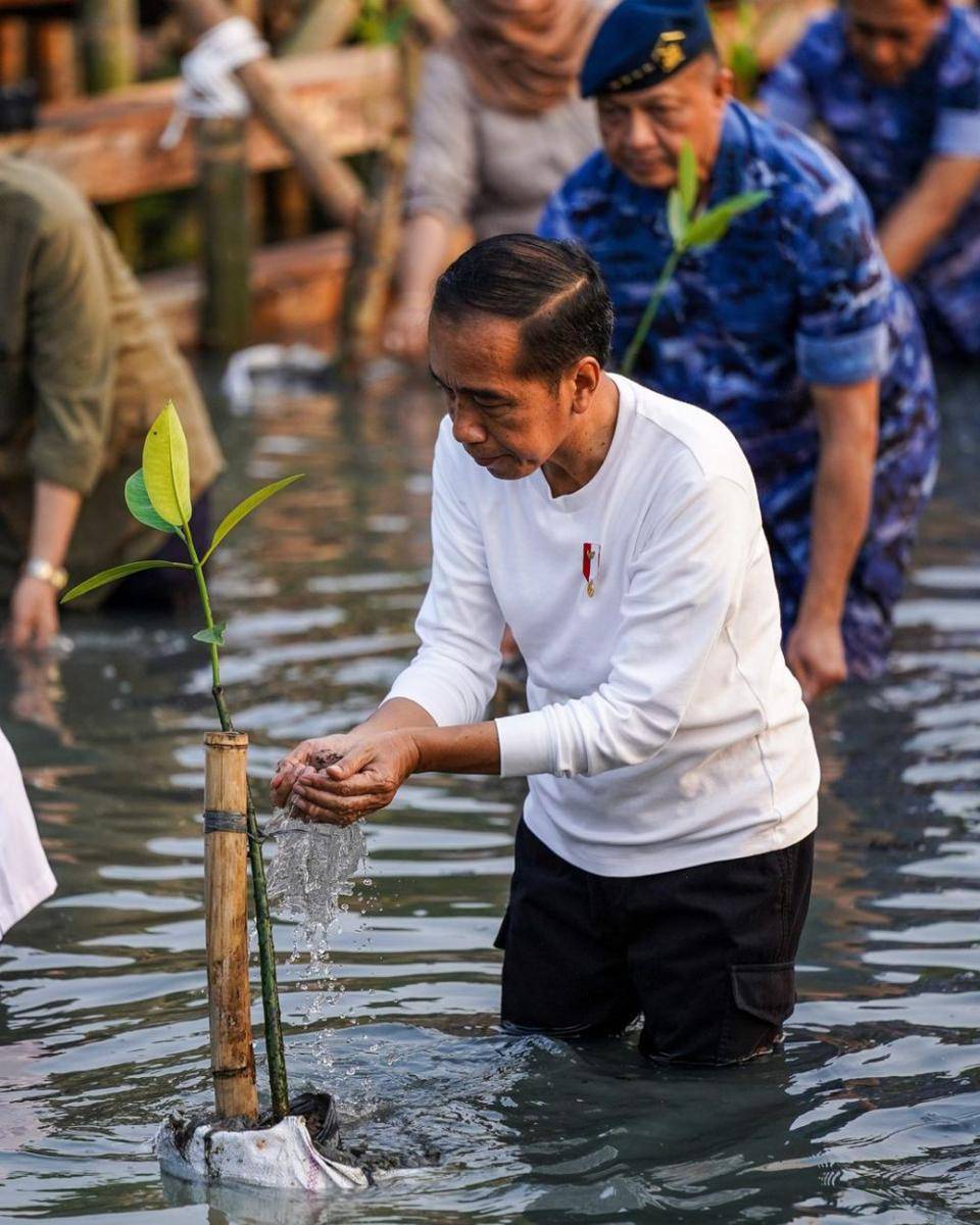 Presiden Joko Widodo menghadiri acara Puncak Penanaman Mangrove Nasional di Taman Wisata Alam (TWA) Angke Kapuk (instagram.com/twa_mangrove)