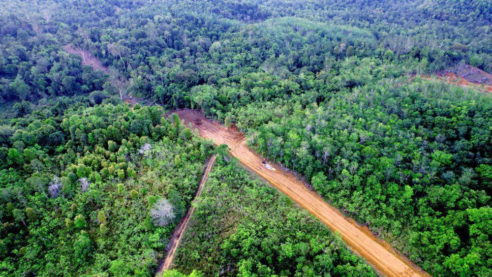 Reforma Agraria, Badan Bank Tanah Kembalikan 1.883 Ha Lahan di Kaltim
