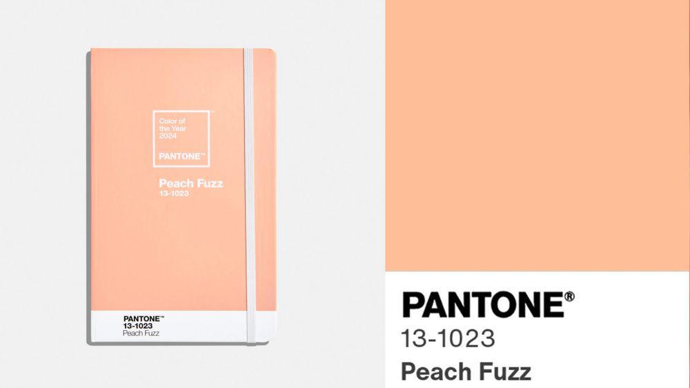 Warna Peach Fuzz, Tren Warna 2024 Versi Pantone yang Gemas
