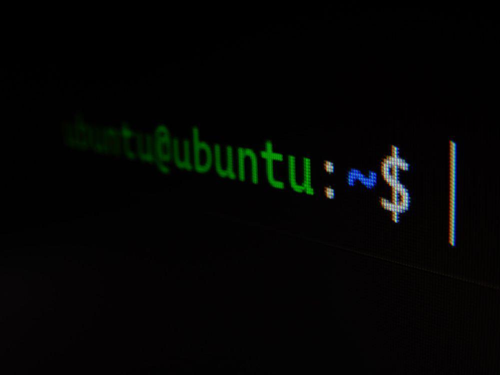 Duel Ubuntu dan Linux Mint, Mana yang Cocok untuk Pemula?