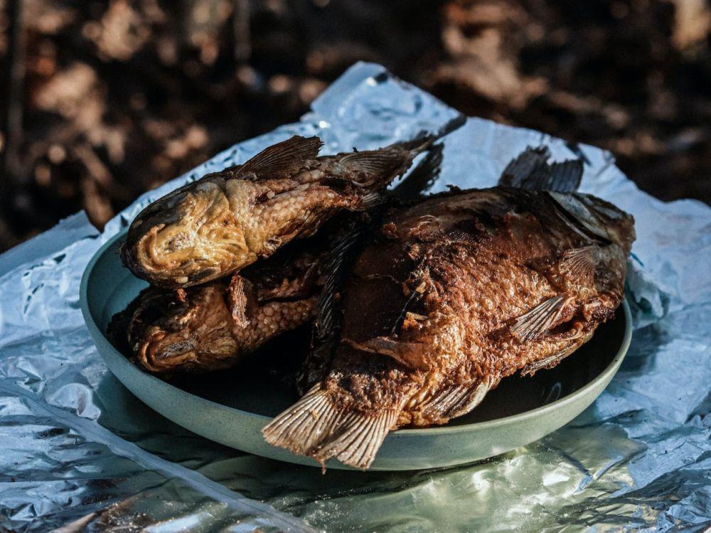 ilustrasi ikan mas goreng (pexels.com/Ejov Igor)