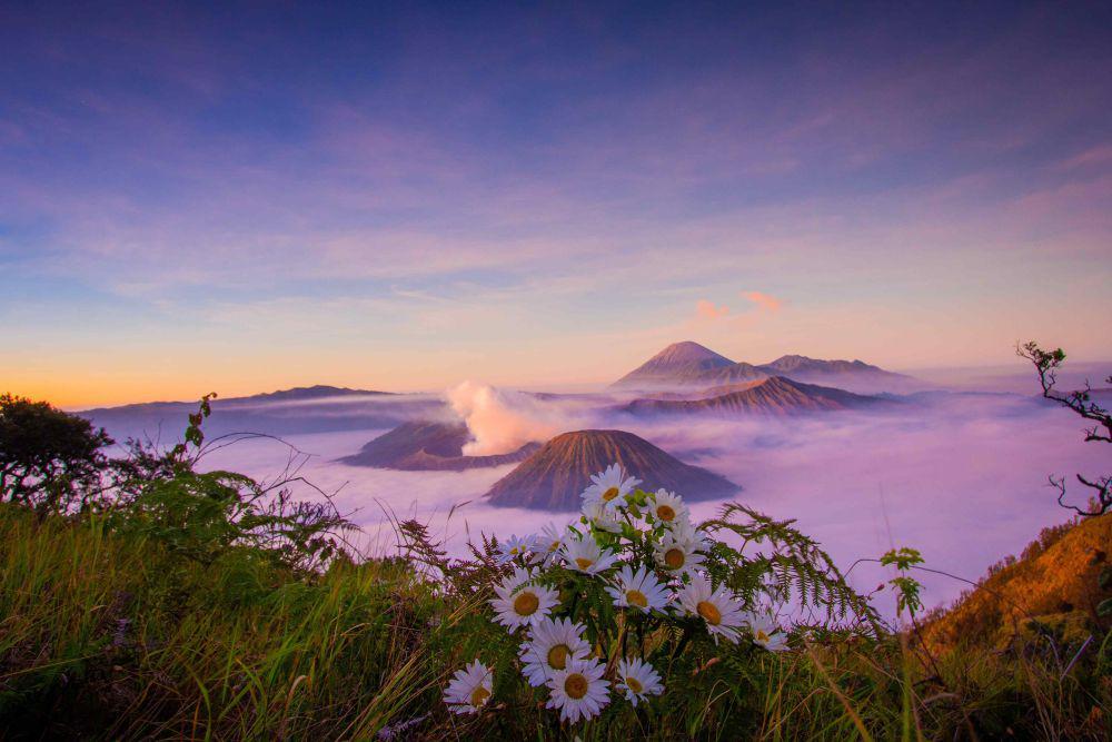 5 Fakta Menarik Gunung Bromo, Taman Nasional Terindah Ketiga di Dunia