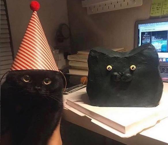foto gemas kucing pakai topi ulang tahun (reddit.com/user/Normal_Ad_3673)