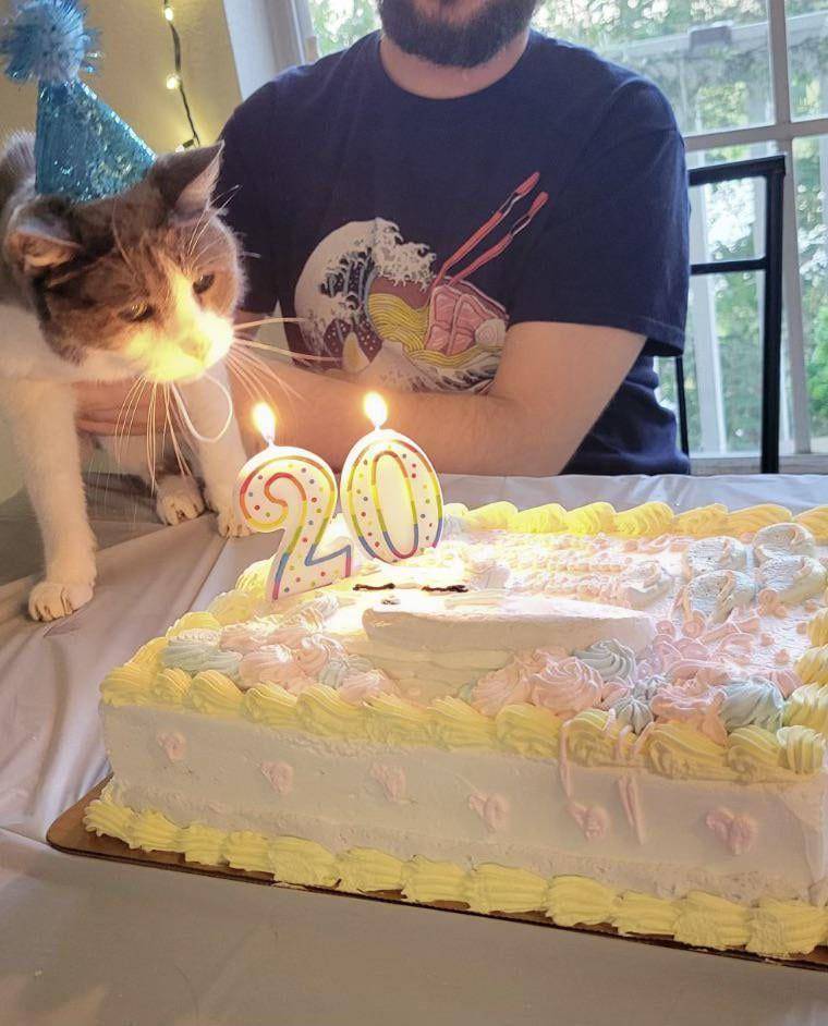 foto gemas kucing pakai topi ulang tahun (reddit.com/user/RS-ASIA)