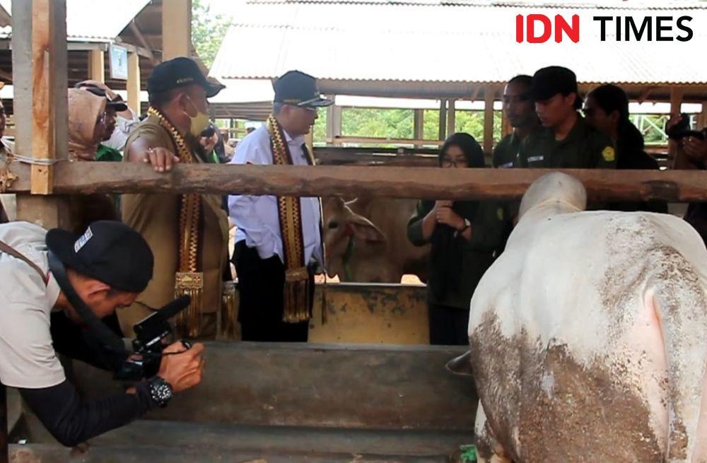 Wamentan Dorong Lampung Selatan Jadi Percontohan Koperasi dan Ternak