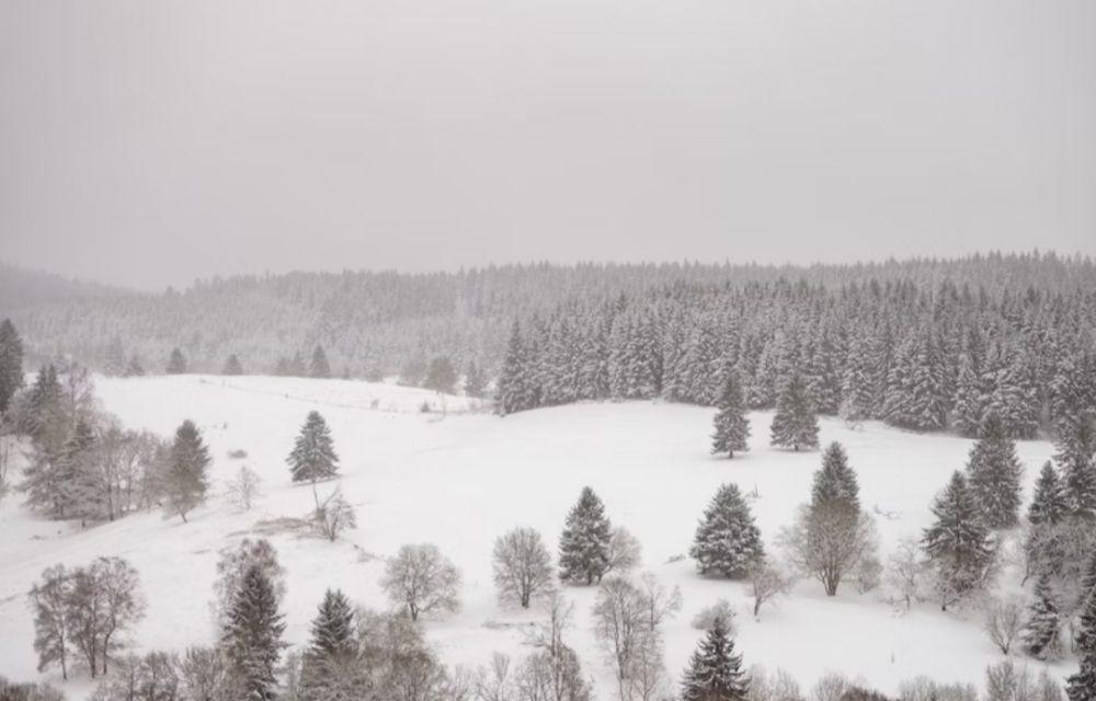 Oberhof, Thuringia (unsplash.com/Robert Katzki)