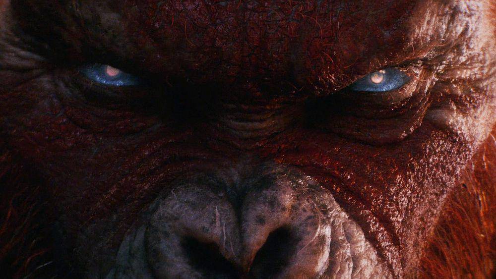 cuplikan film Godzilla x Kong: The New Empire (dok. Warner Bros/Godzilla x Kong: The New Empire)
