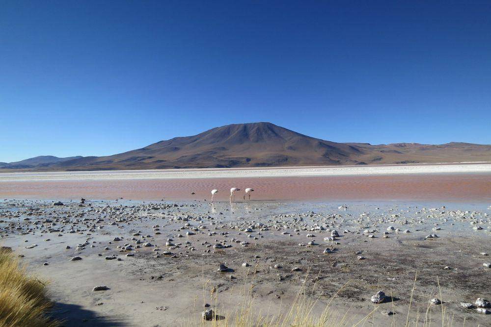 gurun atacama (pixabay.com/TravelCoffeeBook)