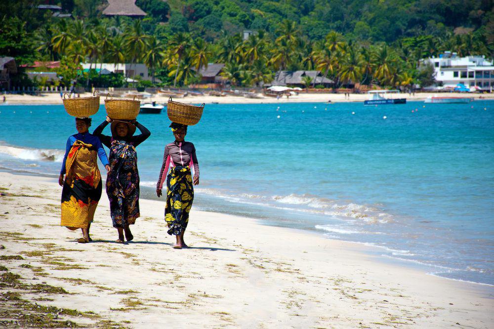 5 Fakta Madagaskar, Negara dengan Flora dan Fauna yang Endemik