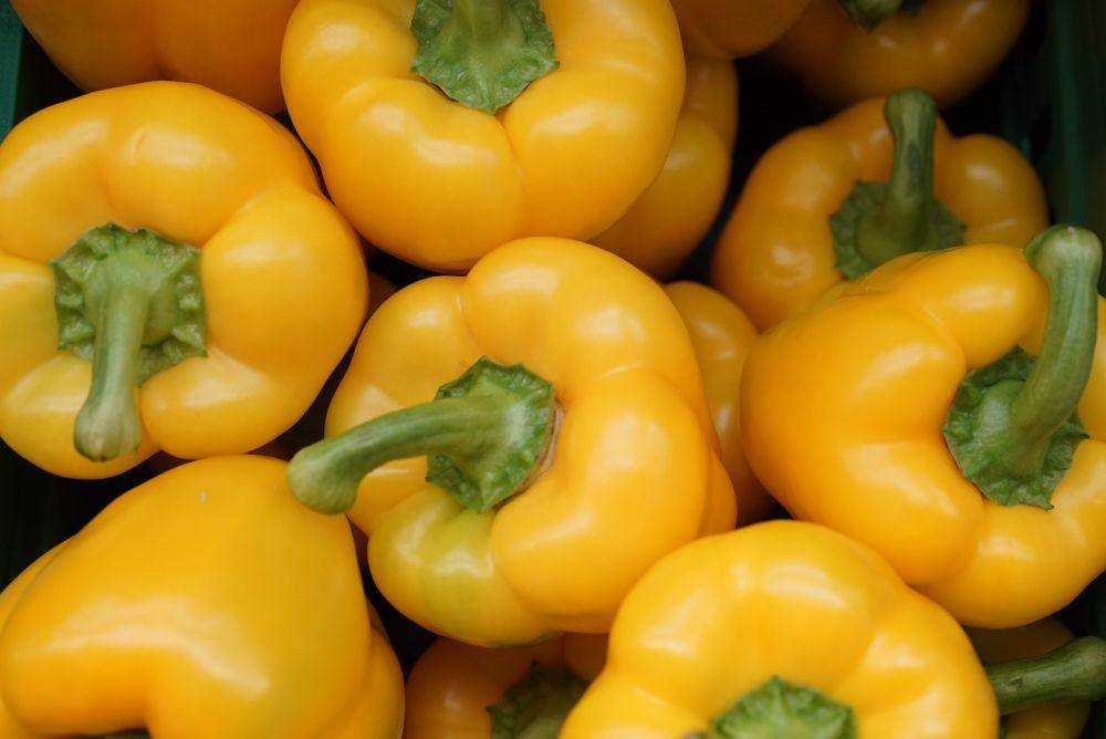 ilustrasi paprika kuning (pixabay.com/fudowakira0)