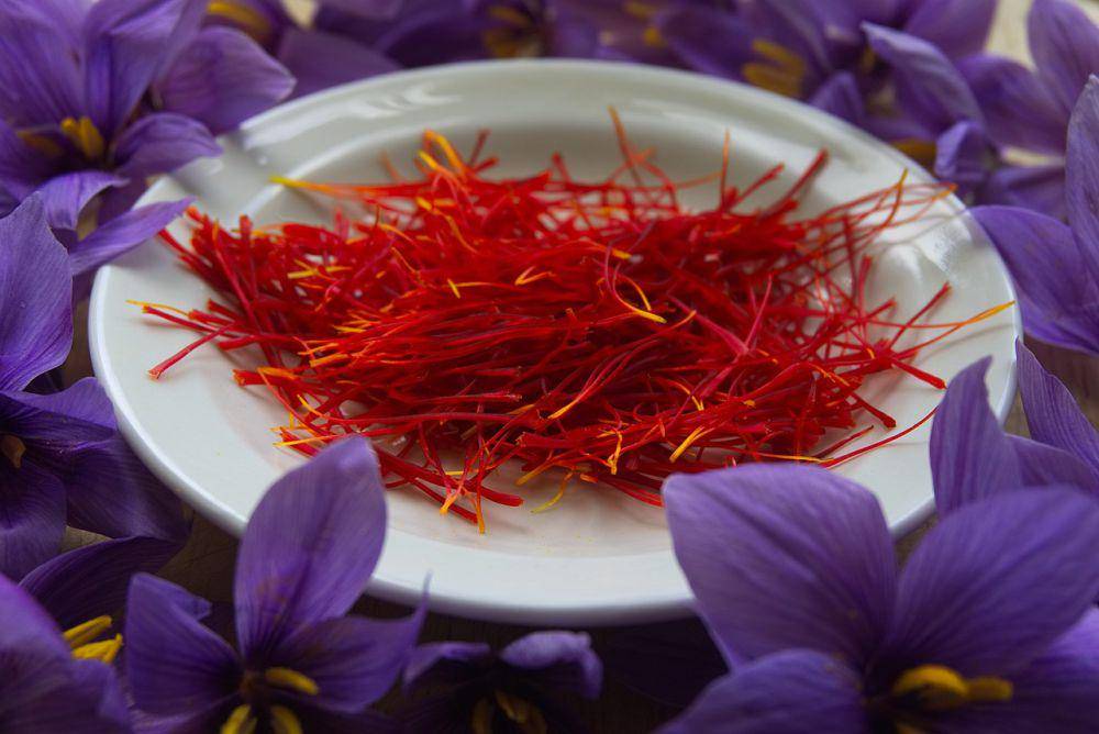 ilustrasi saffron (pixabay.com/Xtendo)
