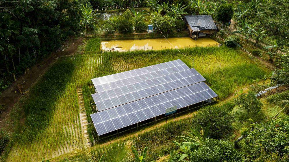 Energi Surya Bukit Asam (PTBA) Tingkatkan Panen Petani di Sawahlunto