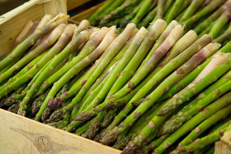 ilustrasi asparagus (pixabay.com/jackmac34)