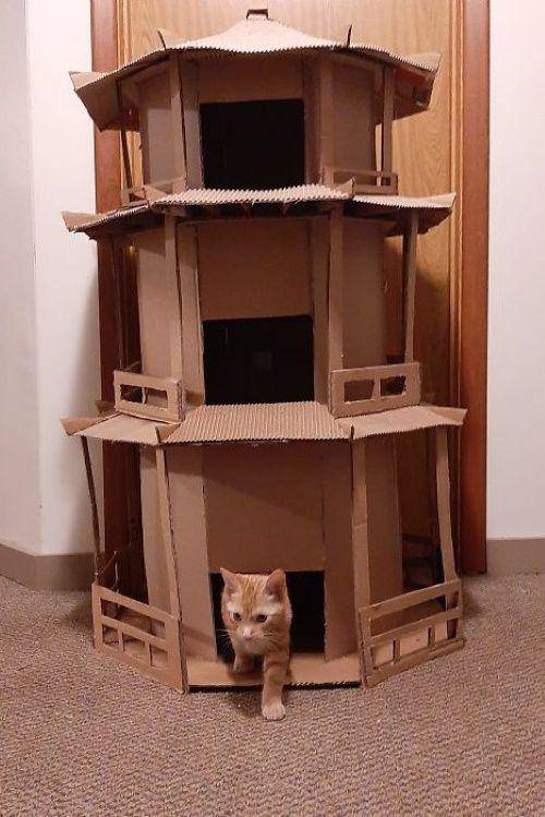 Rumah kucing ala pagoda (meowingtons.com)