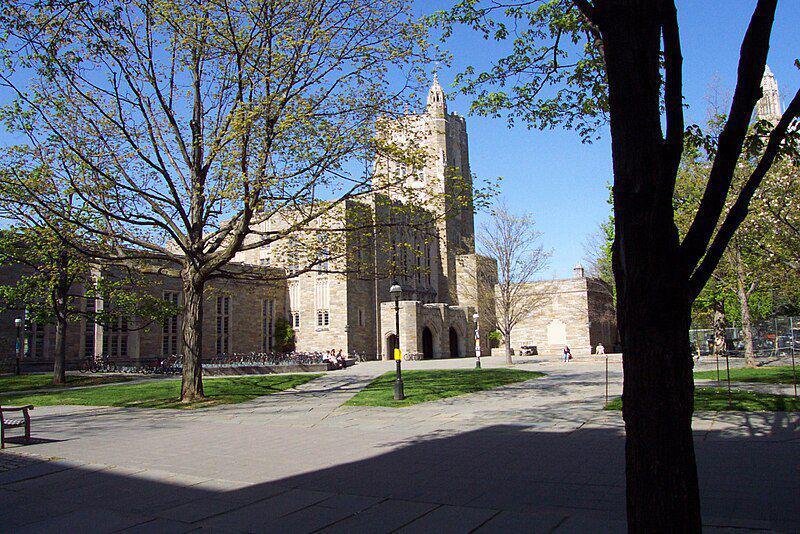 Princeton University (commons.wikimedia.org/Bosc d'Anjou)