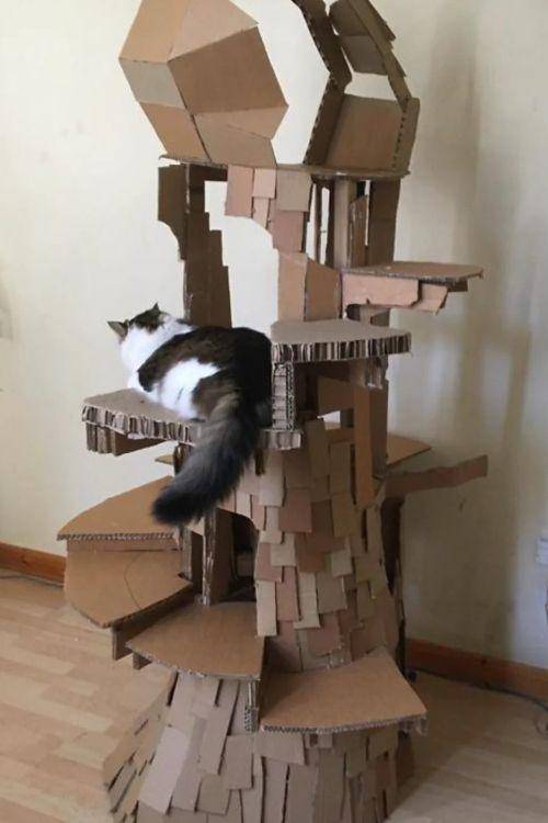 Rumah kardus berbentuk pohon (meowingtons.com)