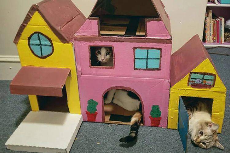 Rumah kardus ala barbie (meowingtons.com)