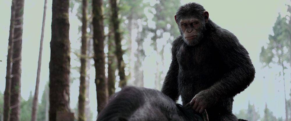 War For The Planet Of The Apes (dok. 20th Century Fox / War For The Planet Of The Apes)