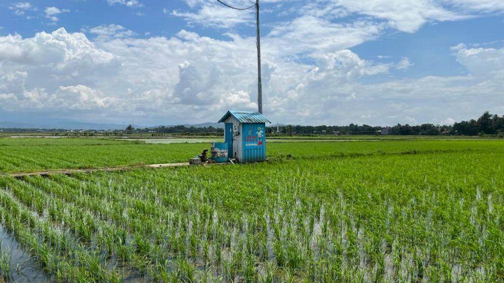 Program electrifying agriculture PLN mendorong pemanfaatan energi listrik di bidang pertanian, perikanan, perkebunan serta peternakan. (Dok. Istimewa)