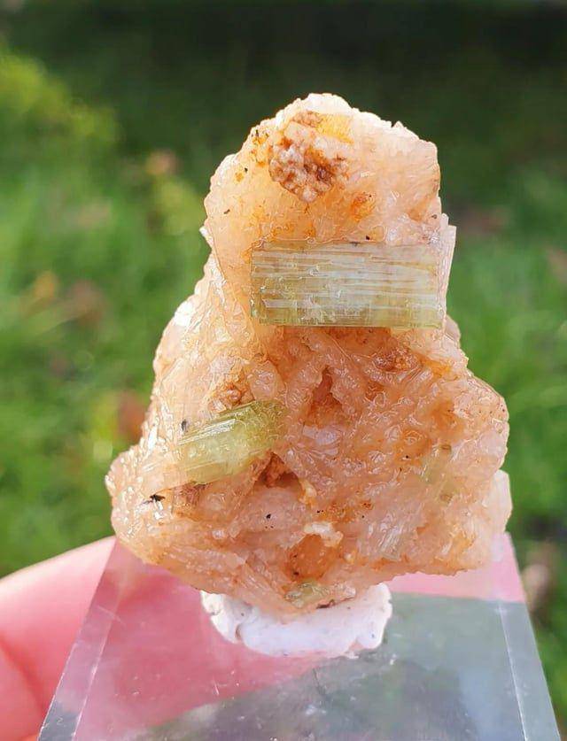 Potret ilusi benda yang menyerupai makanan (reddit.com/user/OceanSupernova)
