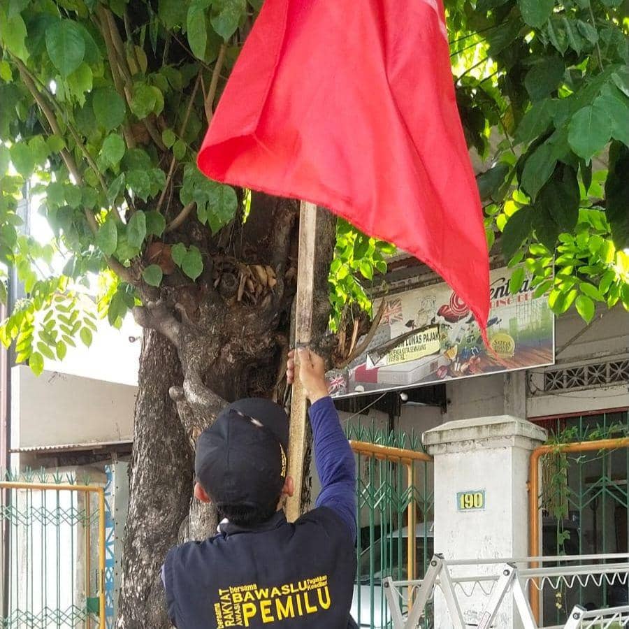 Salah satu petugas Panwascam juga mencopoti sebuah bendera PSI yang terpasang di dahan pohon beberapa ruas jalan Kota Semarang. (IDN Times/Dok Humas Bawaslu Kota Semarang)