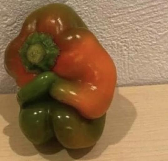 potret kocak paprika punya ekspresi (reddit.com/PdoesnotequalNP)