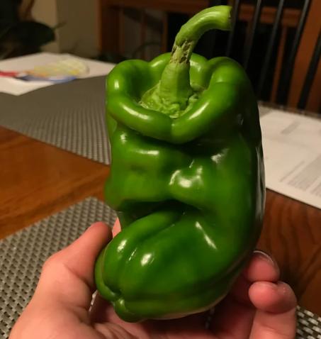 potret kocak paprika punya ekspresi (reddit.com/ImperialFolk_SSW)