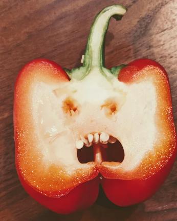 potret kocak paprika punya ekspresi (reddit.com/cheesewit40)