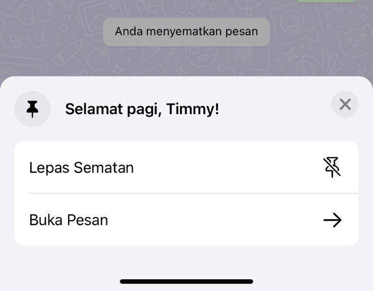 ilustrasi melepaskan sematan di WhatsApp (IDN Times/Laili)