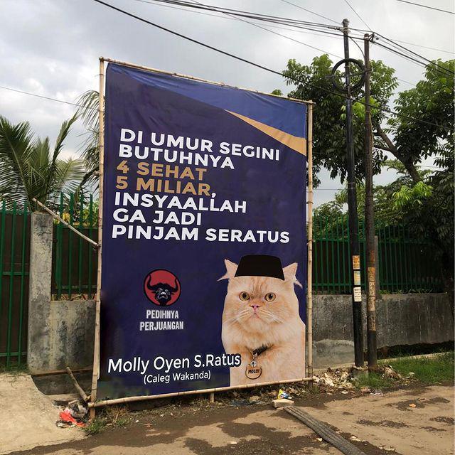 Balihol lucu para caleg (instagram.com/bella mollysterill)