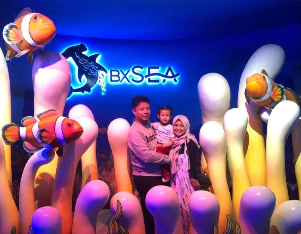 Oceanarium BXSea Bintaro Resmi Dibuka, Hadirkan Dome Menakjubkan