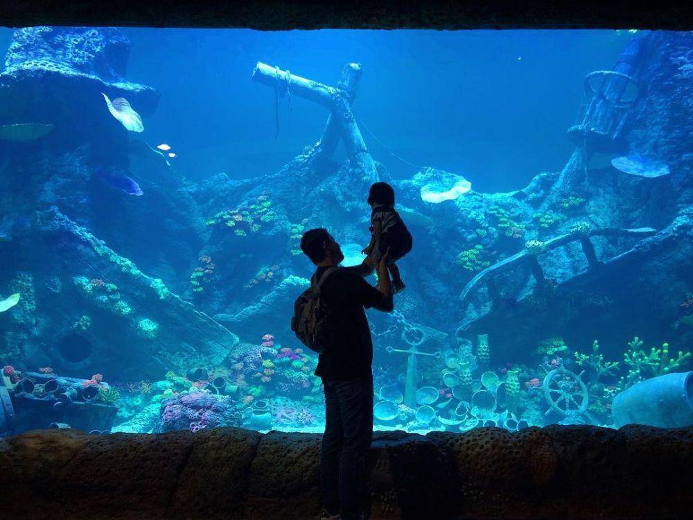 Oceanarium BXSea Bintaro (instagram.com/adzhrm)